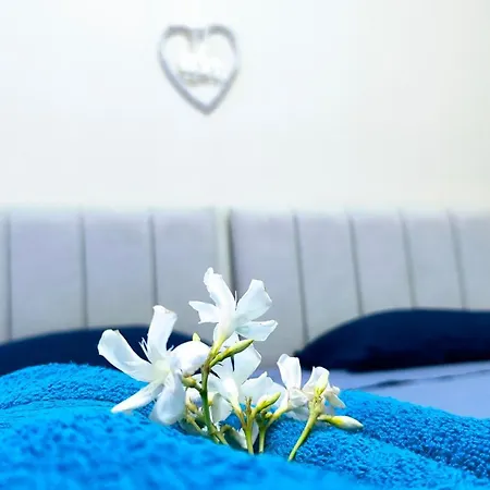 2room 2bath 120mq Park Terrace 250mt Sea